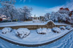 St-Johns-winter-morning-20141129-38